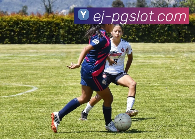 PG电子官网品牌故事