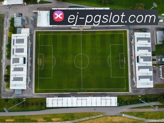 PG电子官网服务体系