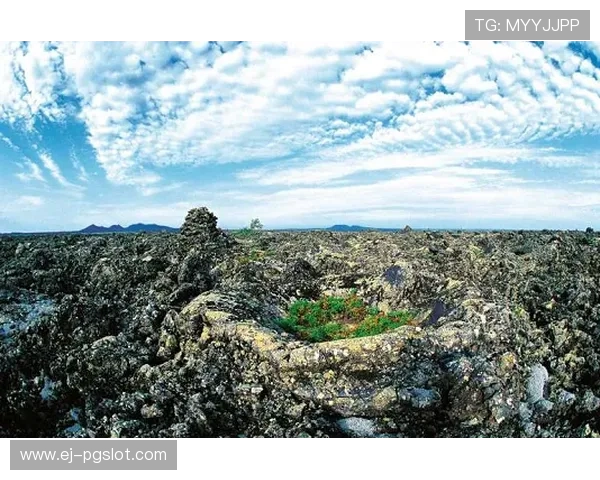 情侣双排挑战三角洲极限协作共赢体验之旅